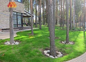 Загородный дом в коттеджном посёлке Охтинский парк